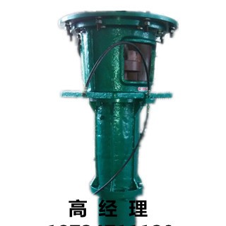 厂家直销  临龙3寸立式 液下  长杆泵80NPL50-20