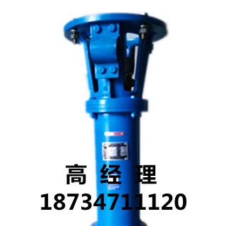 临龙2寸立式渣浆泵