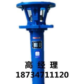 1临龙牌XSW型卧式吸砂泵