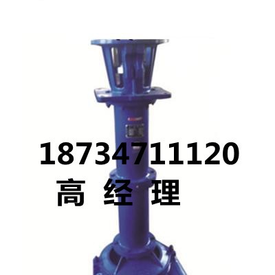 临龙NYL立式抽沙泵