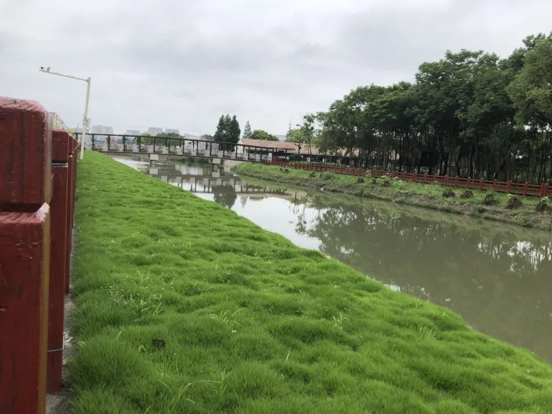 生态混凝土-绿化混凝土-植生混凝土-植被砼-生物基质混凝土