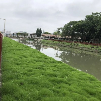 生态混凝土-绿化混凝土-植生混凝土-植被砼-生物基质混凝土