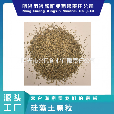 硅藻土颗粒载体