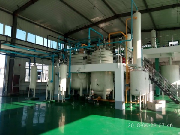 文冠果油加工设备 亚临界萃取设备 精炼设备及分子蒸馏设备