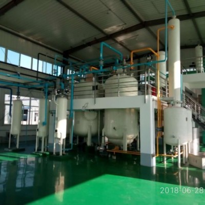 文冠果油加工设备 亚临界萃取设备 精炼设备及分子蒸馏设备