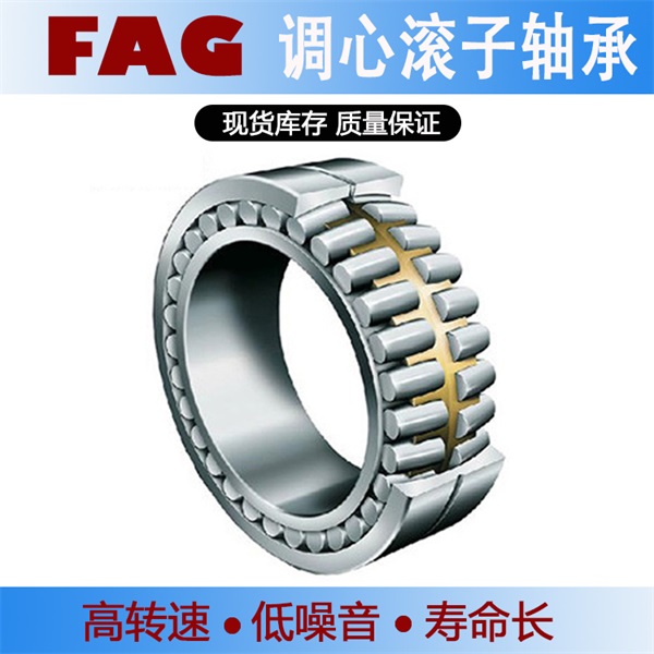 FAG调心滚子轴承23124-E1A-XL-M 马格减速机