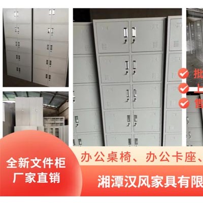 湘潭生产铁皮柜 钢制文件柜 保密文件柜 储物柜厂家